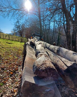 travi legno tronchi tetto