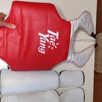 Taekwondo protezioni 4
