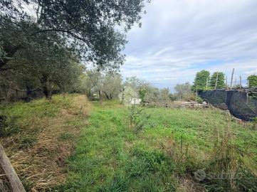 TER. AGRICOLO A MASSA LUBRENSE