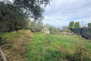 TER. AGRICOLO A MASSA LUBRENSE