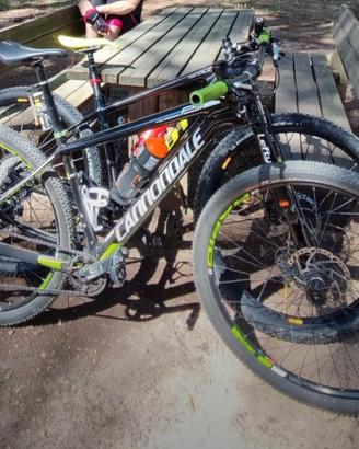 mtb cannondale fsi