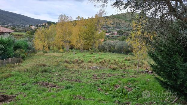 Terreno pianeggiante fronte strada