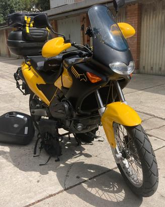 Aprilia Pegaso 650 ie (rotax)