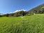 Immagine 12