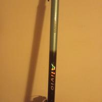 canna surf casting shimano