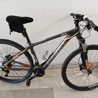 Mountanbike Whistle 29’’