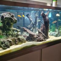 Acquario 130x45 h55 - 280lt 