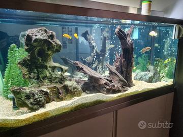 Acquario 130x45 h55 - 280lt 