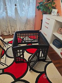 box cane interno 