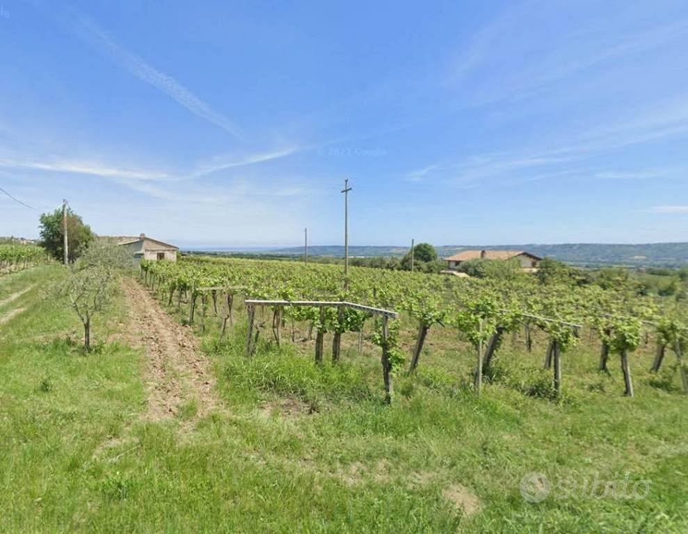 Terreno di 28581 m² a Mozzagrogna - Vista 4