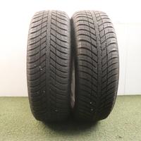 Gomme Nexen Nblue 215 65 16 4 stagioni