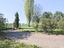 Immagine 22