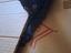 Immagine 6