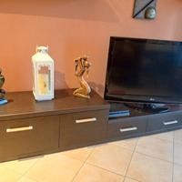 mobile tv