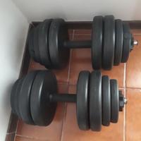 Set di Manubri 30 kg