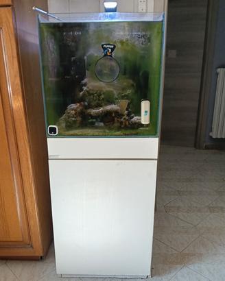 acquario marino