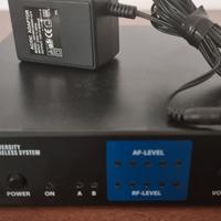 Microfono wireless con archetto LEM L2000TD