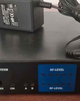 Microfono wireless con archetto LEM L2000TD