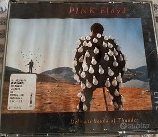 Pink Floyd Delicate sound of Thunder