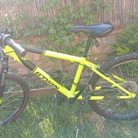 Mountain bike misura 24