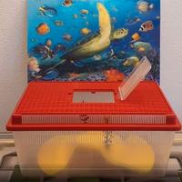 TARTARUGHIERA Piccola con SFONDO