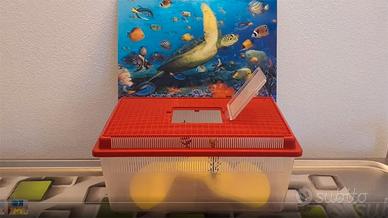 TARTARUGHIERA Piccola con SFONDO