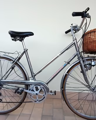 Bicicletta vintage 