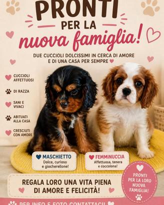 Cuoricini in attesa