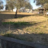Lotto di terreno edificabile