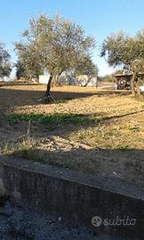 Lotto di terreno edificabile