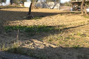 Lotto di terreno edificabile