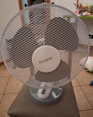 Ventilatore