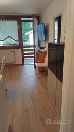 Ap a 50m dalle piste folgarida