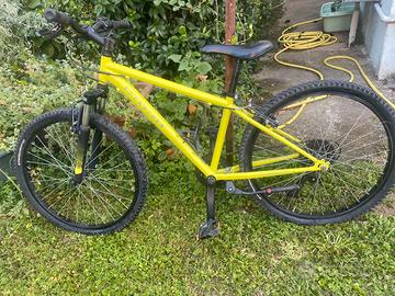 Bicicletta bambino/ragazzo