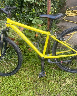 Bicicletta bambino/ragazzo