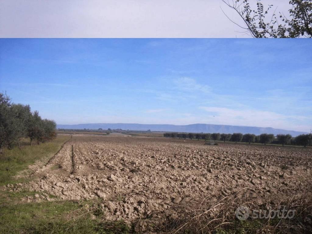 Immobile in asta di 9259 m² a San Severo - Vista 4