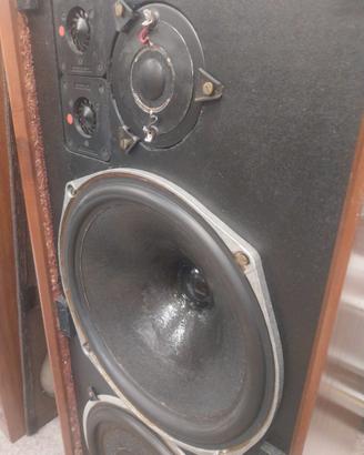 Celestio ditton 25
