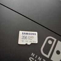 Micro SD 256 GB Samsung evo - Non trattabile 