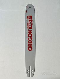 Barra per motosega Oregon 160SFEA218 RA