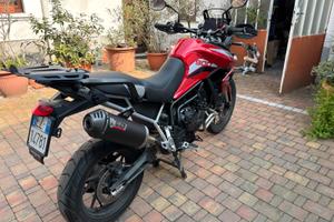 Triumph Tiger 900 gt pro 2022