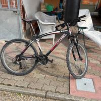 Bici Bottecchia Ragazzo