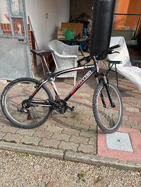 Bici Bottecchia Ragazzo