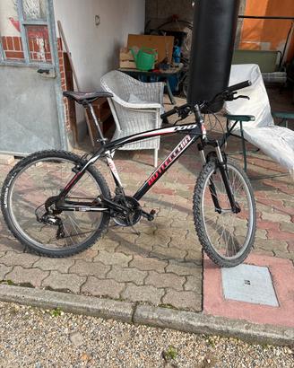 Bici Bottecchia Ragazzo