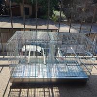 gabbia uccelli pappagallini