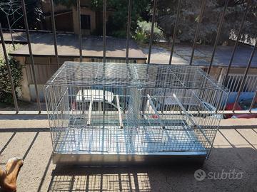 gabbia uccelli pappagallini