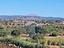Immagine 10