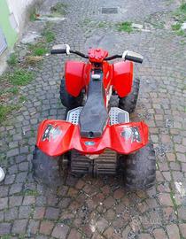 QUAD a batteria