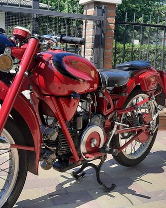 Moto Guzzi Airone Sport 250 1956 perfetta