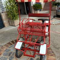 Bici risciò 4 posti