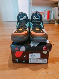 Scarpe Adidas Harden Vol.5 Futurenatural